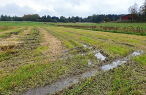 Vattenfyllda hjulspår i jordbruksmark.