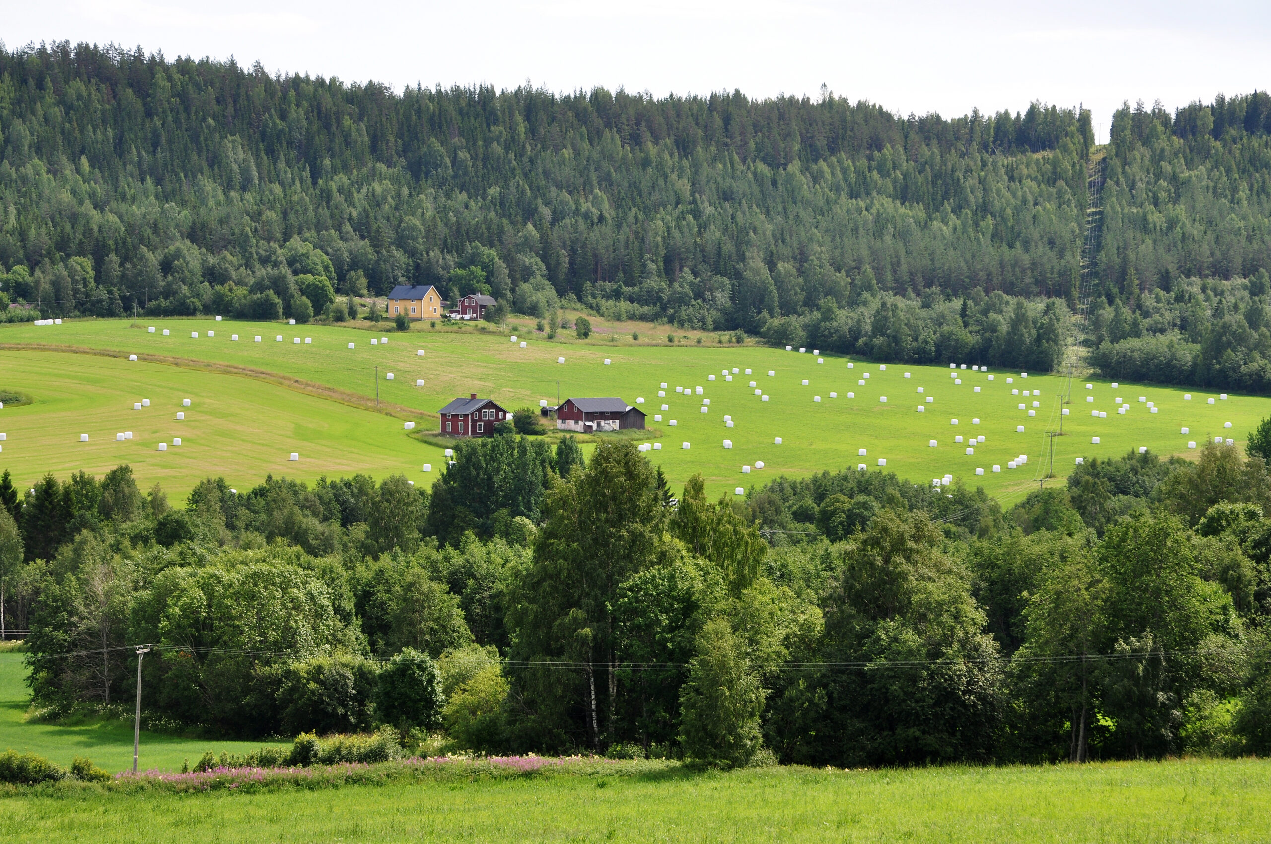 Fotot visar ett landskap med gårdar, jordbruksmark och skog.